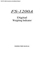 FS-1200A instruction and calibration.pdf